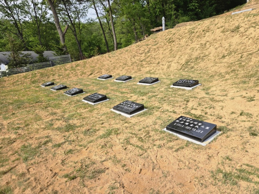 54810849d10e874f368198a87aa59c95_1749792866_372.jpg